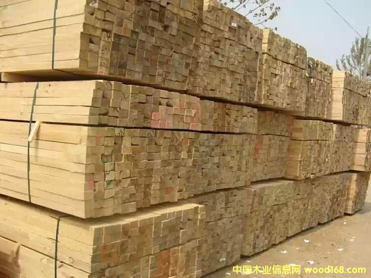 ݗ���ɵ�Ԕ����B