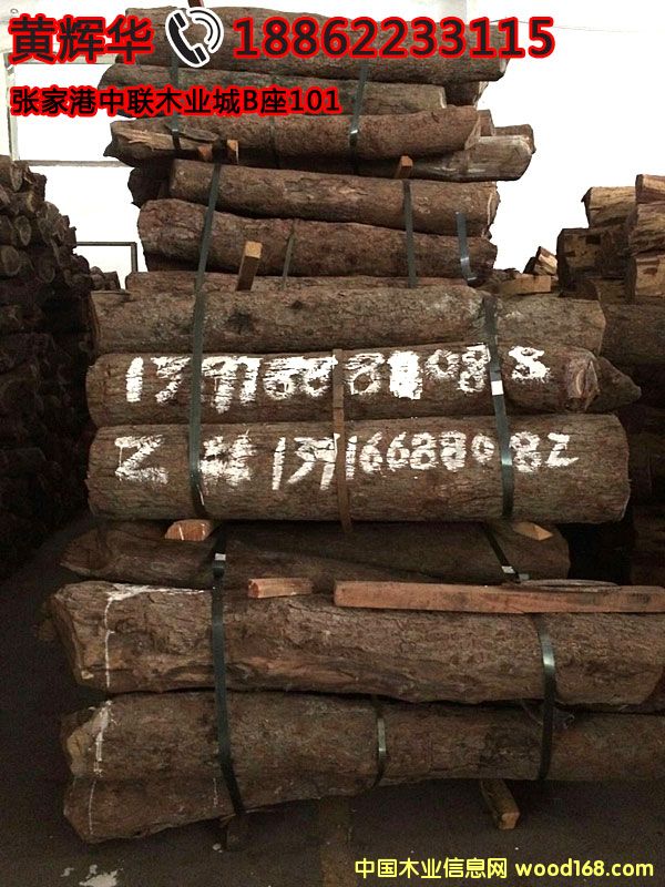 ٝ�ȁ�Ѫ̴�F؛260���󏽸��͸��ܵ�Ԕ����B