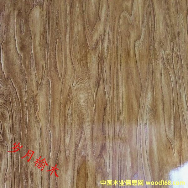 �q����ľ��Ԕ����B