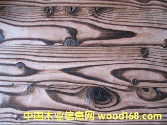 �����ɿ̼yľ