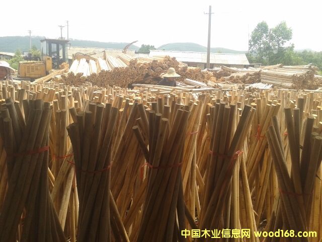 ��ľ�ĵ�Ԕ����B