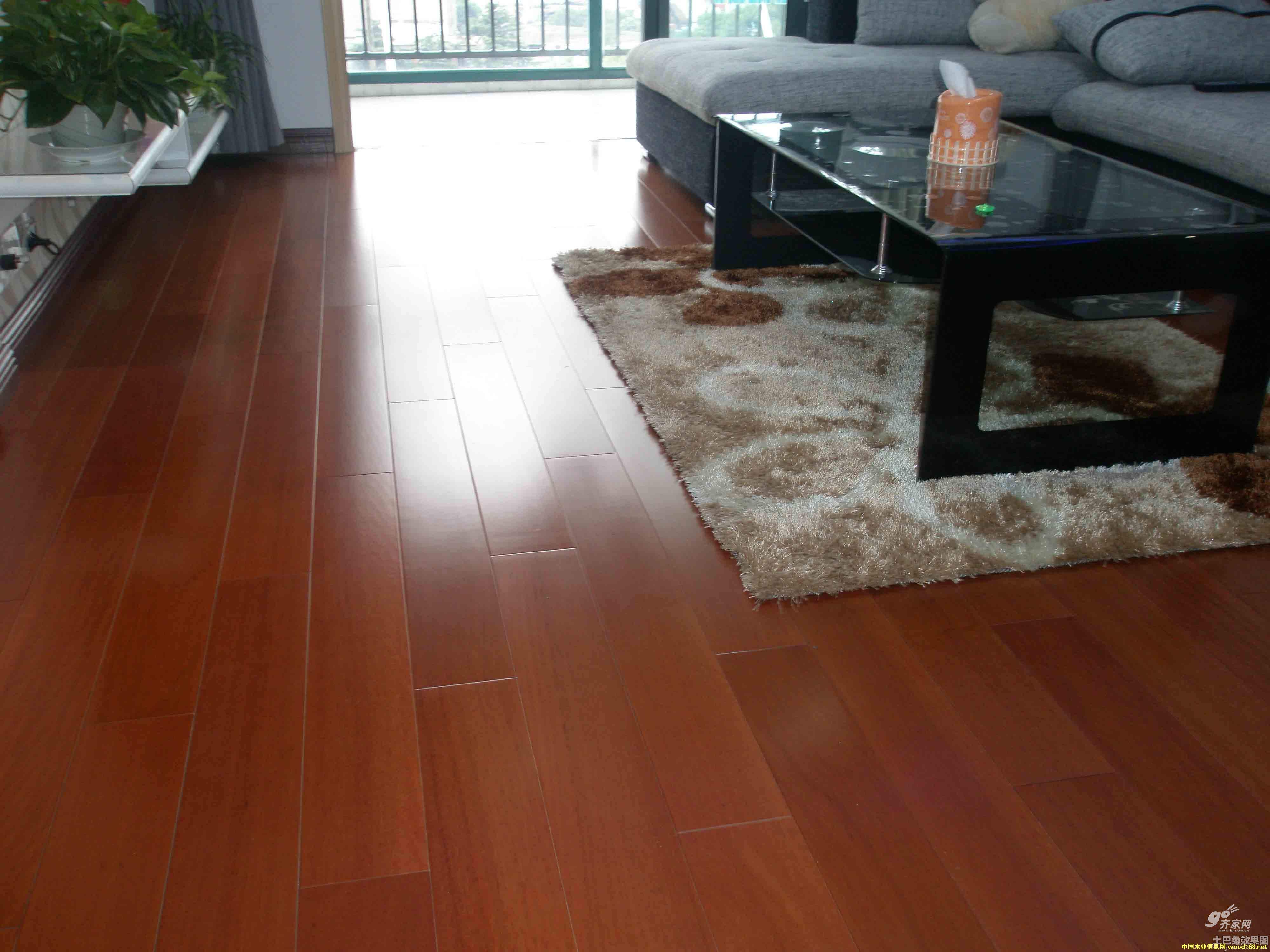 ��ľ̼�w�S�ذ�Ʒ�������Ƶ�Ԕ����B