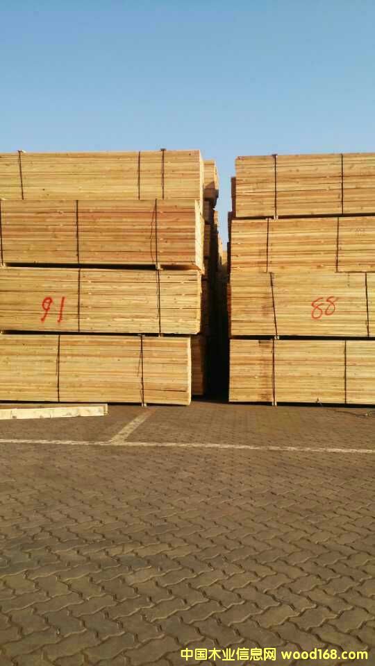 ���_˹����������~�ɰ�ĵ�Ԕ����B