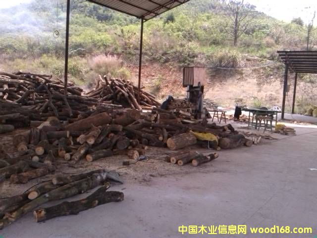 ����ľ����Ԕ����B