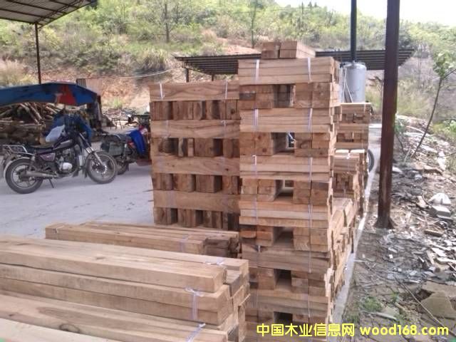 ����ľ����Ԕ����B