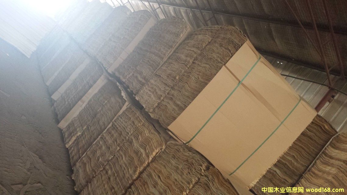 ��ľ���|�ΰ��Ԕ����B