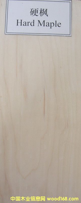 Ӳ����Ԕ��(x��)��B