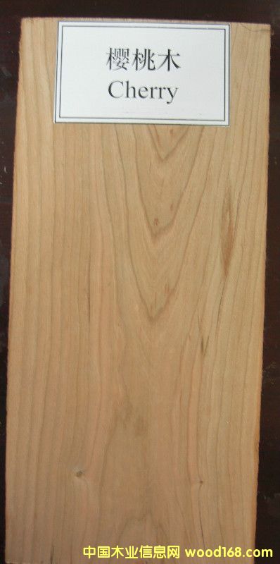 ����ľ��Ԕ��(x��)��B