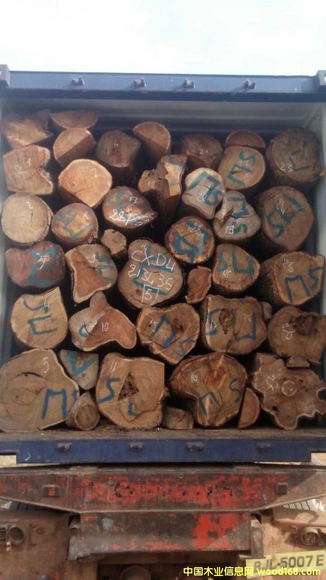 �����̴��Ԕ����B