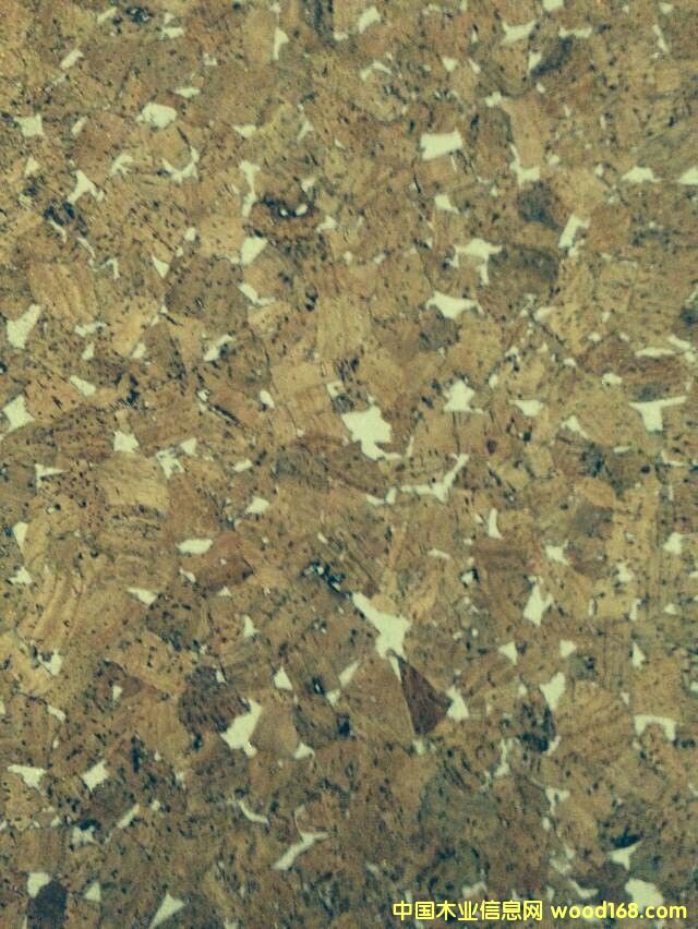 �WУ���԰僞Ʒ