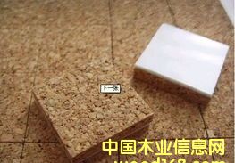 �c���鿴ˮ�����޲����|�Ŵ�DƬ