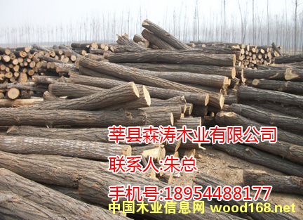 �sľ��Ԕ��(x��)��B