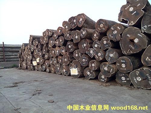 �u���Ԕ����B