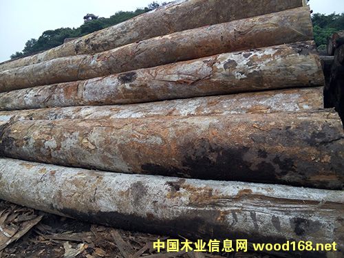 �G��ɣ��Ԕ����B