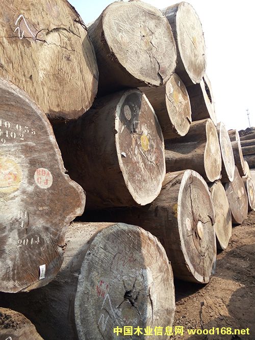 ���ވA�P�����W������Ԕ����B