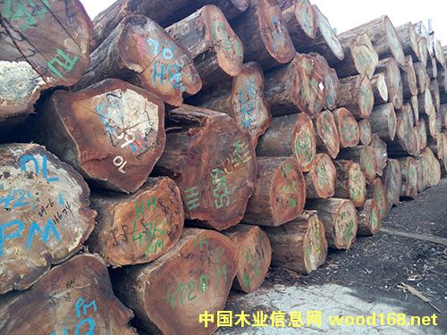 �ڂ��ҵ�Ԕ����B