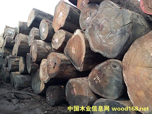 �������ǲ�����Ԕ����B