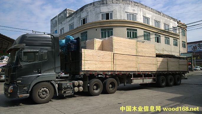 ���zľָ�Ӱ�22mm