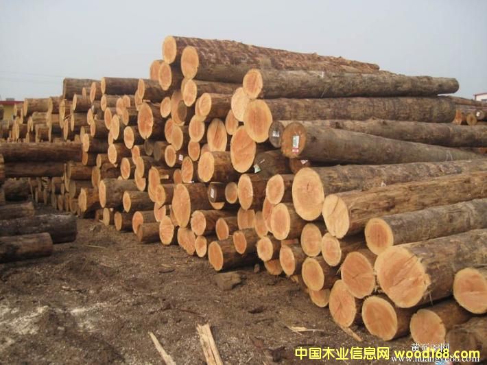 �Fɼ���W�ɵ��M(j��n)��ľ��