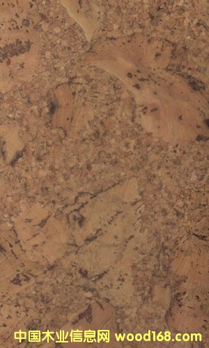 �c���鿴ܛľ�ذ�CF084024�Ŵ�DƬ