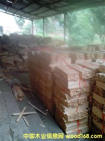 �c���鿴ɼľ��l�Ŵ�DƬ