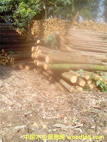 �c���鿴ɼľ��l�Ŵ�DƬ