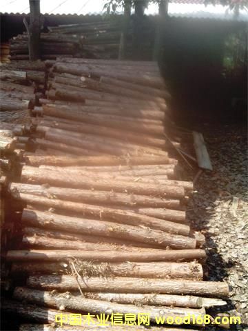 �c���鿴ɼľ��l�Ŵ�DƬ