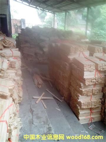 �c���鿴ɼľ��l�Ŵ�DƬ