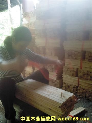 �c���鿴ɼľ��l�Ŵ�DƬ