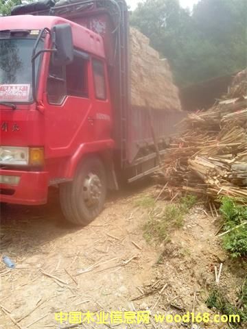 �c���鿴ɼľ��l�Ŵ�DƬ