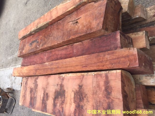 ΢���S̴-�궼��˹��Ԕ����B