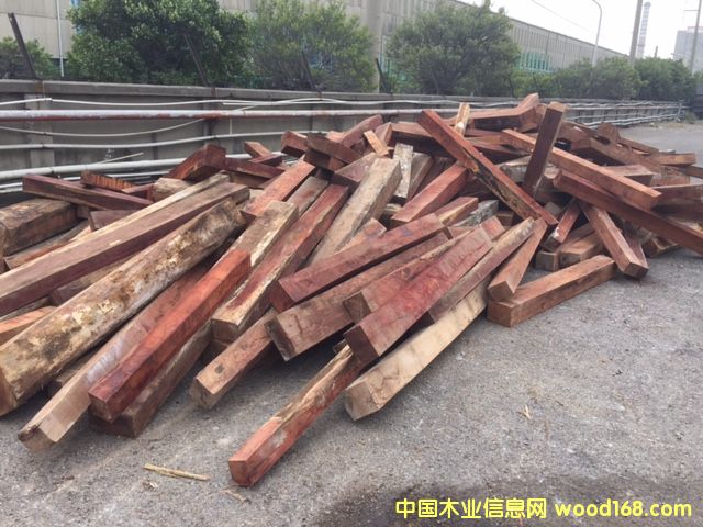 ΢���S̴-�궼��˹��Ԕ����B