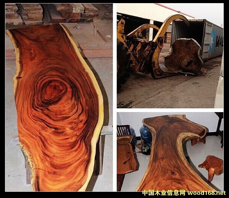 �ں��ҵ�Ԕ��(x��)��B