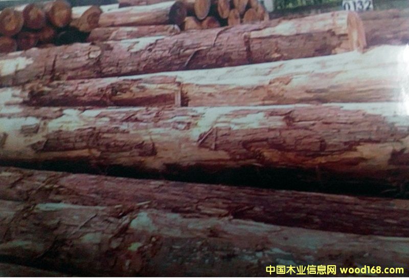 �c(di��n)���鿴ɼľ�Ŵ�DƬ