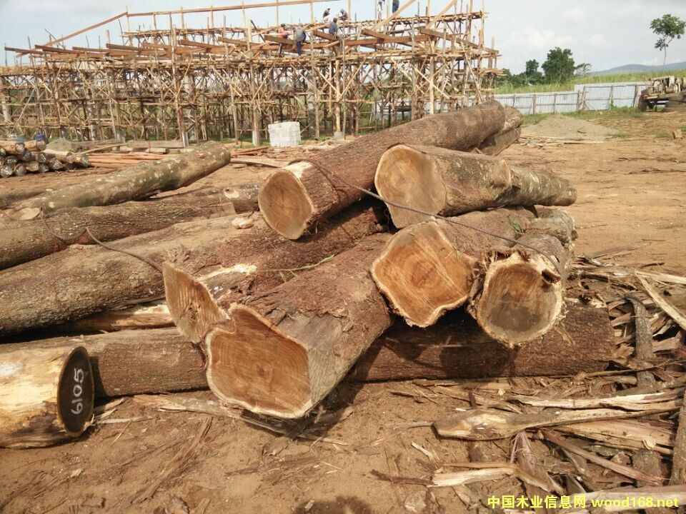 ���~��˼ľԭľ��Ԕ����B