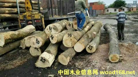 �W�ް�Ϟԭľ