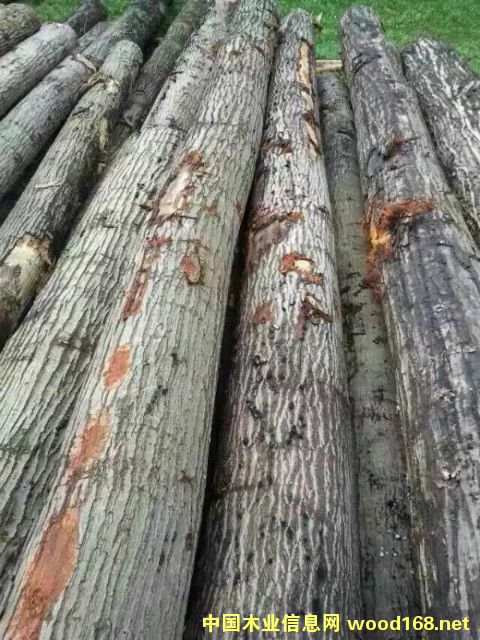 �W�޼t��ԭľ