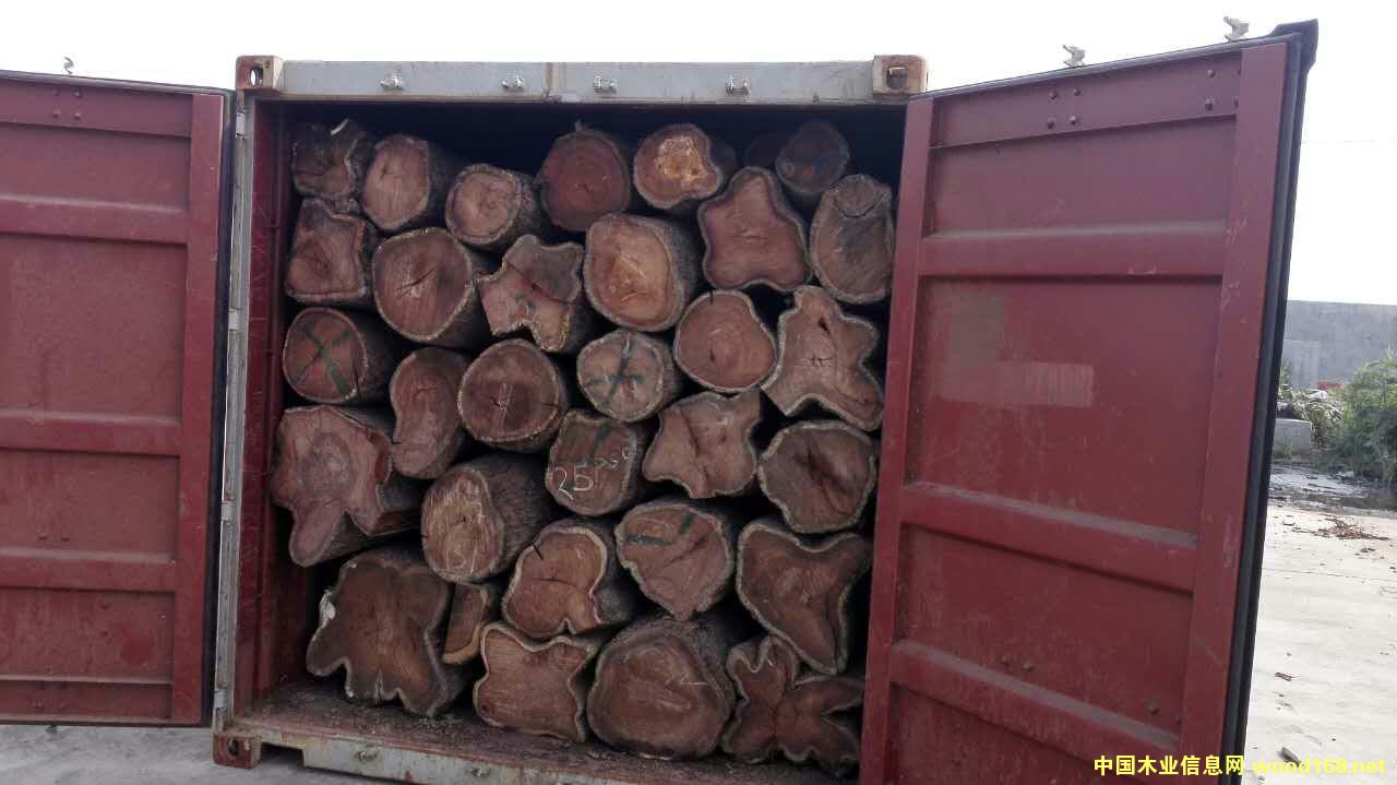 �����̴��Ԕ����B