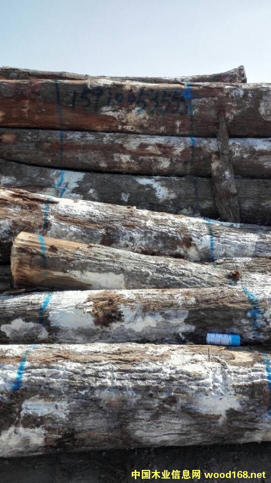 �t���Ԕ����B