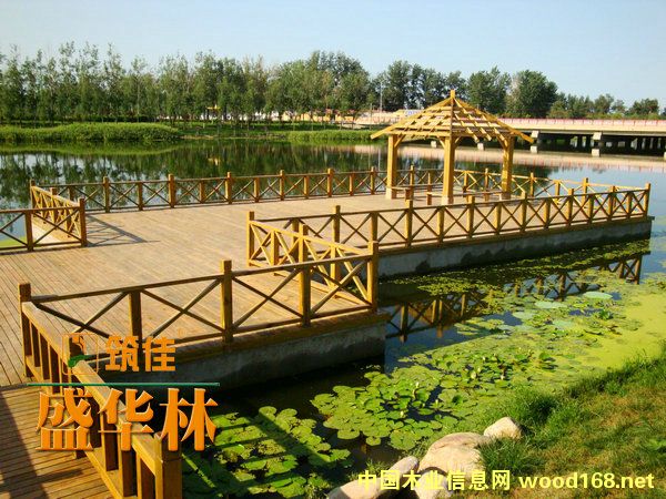 ����ľ�ذ��Ԕ����B