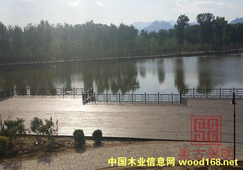 ����ľ�ذ��Ԕ����B