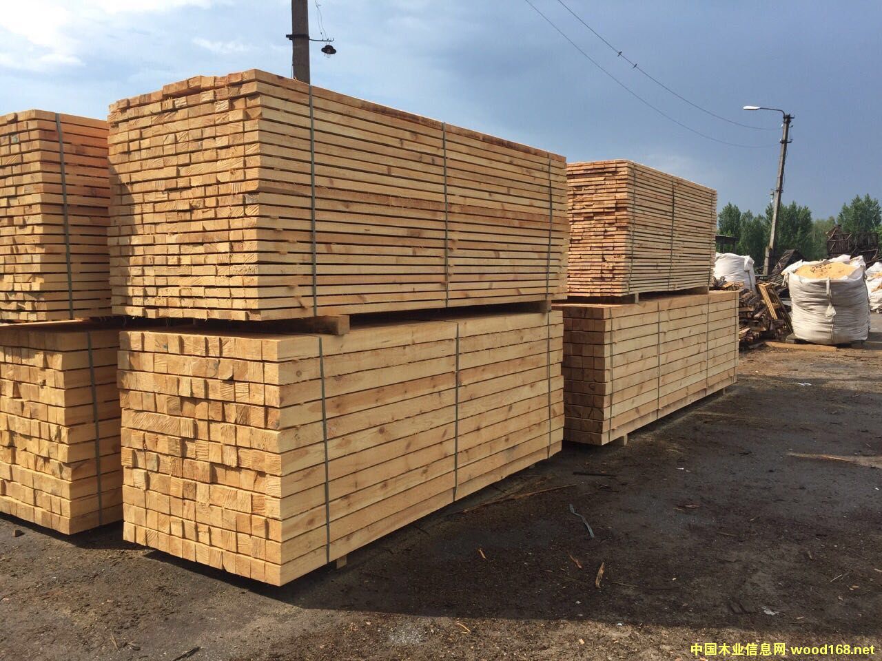 �����m������ľ����Ԕ��(x��)��B