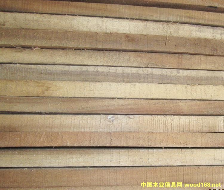 �c���鿴��˼ľ�Ŵ�DƬ