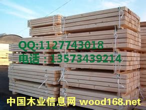 �z�ϰ� �бP�î��ζ��Ӱ� �бP���w��