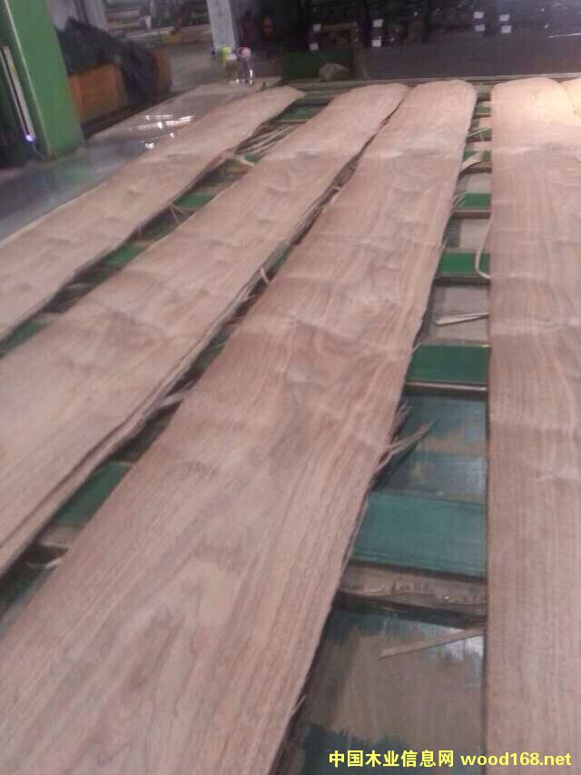 �ں��ҵذ�ľƤ��Ԕ����B