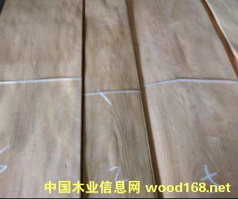 �������ҵ�Ԕ����B