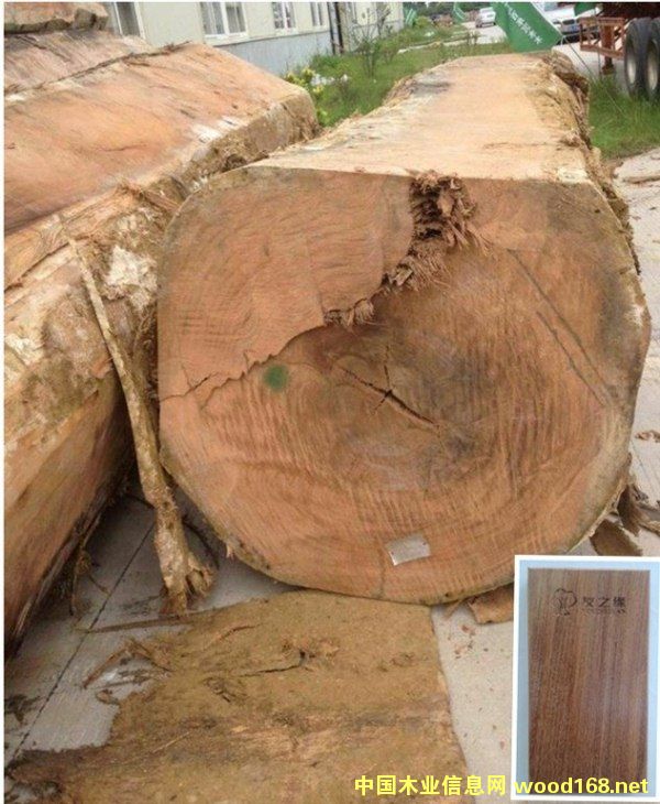 �׃����Ԕ��(x��)��B