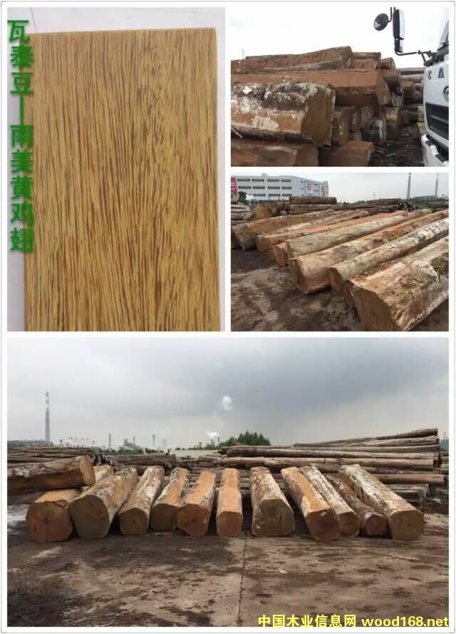 ��̩����Ԕ��(x��)��B