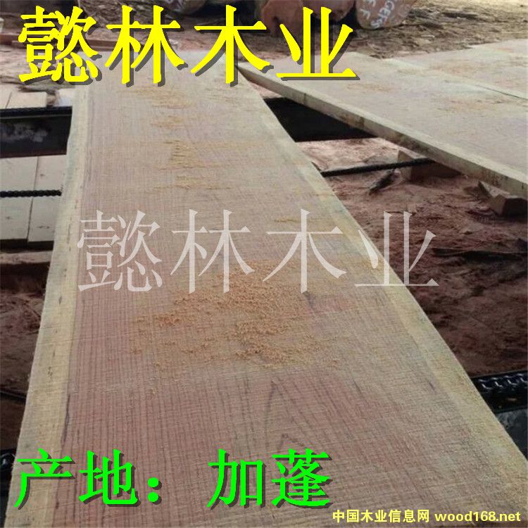 �t��ľ��Ԕ����B