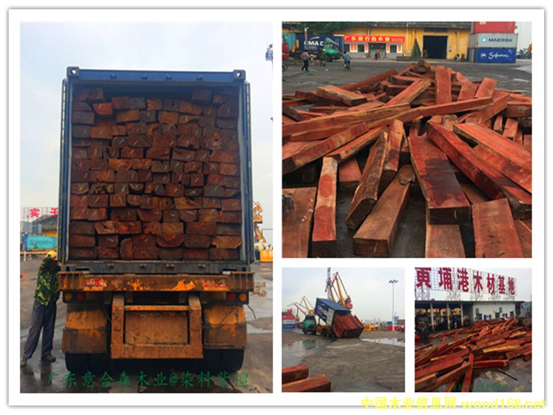 [��] ٝ�ȁ�Ⱦ��Ѫ̴